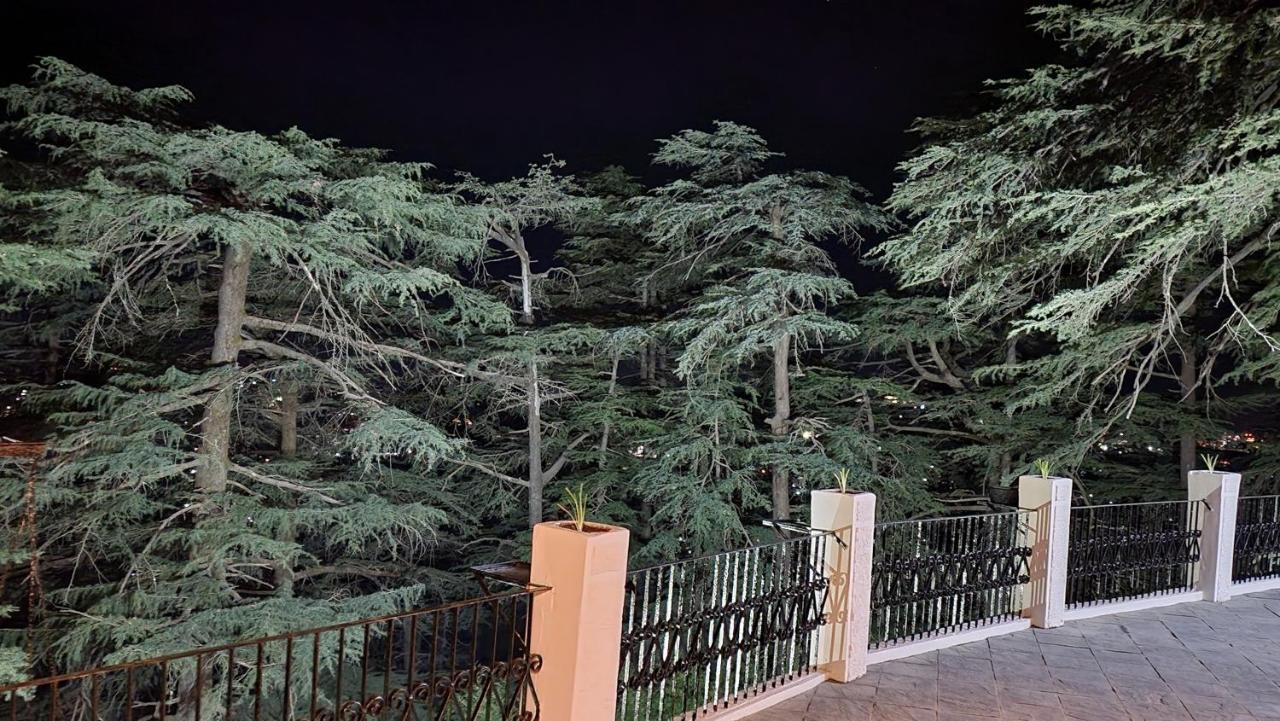 Glen View Heritage Homestay Σίμλα Εξωτερικό φωτογραφία