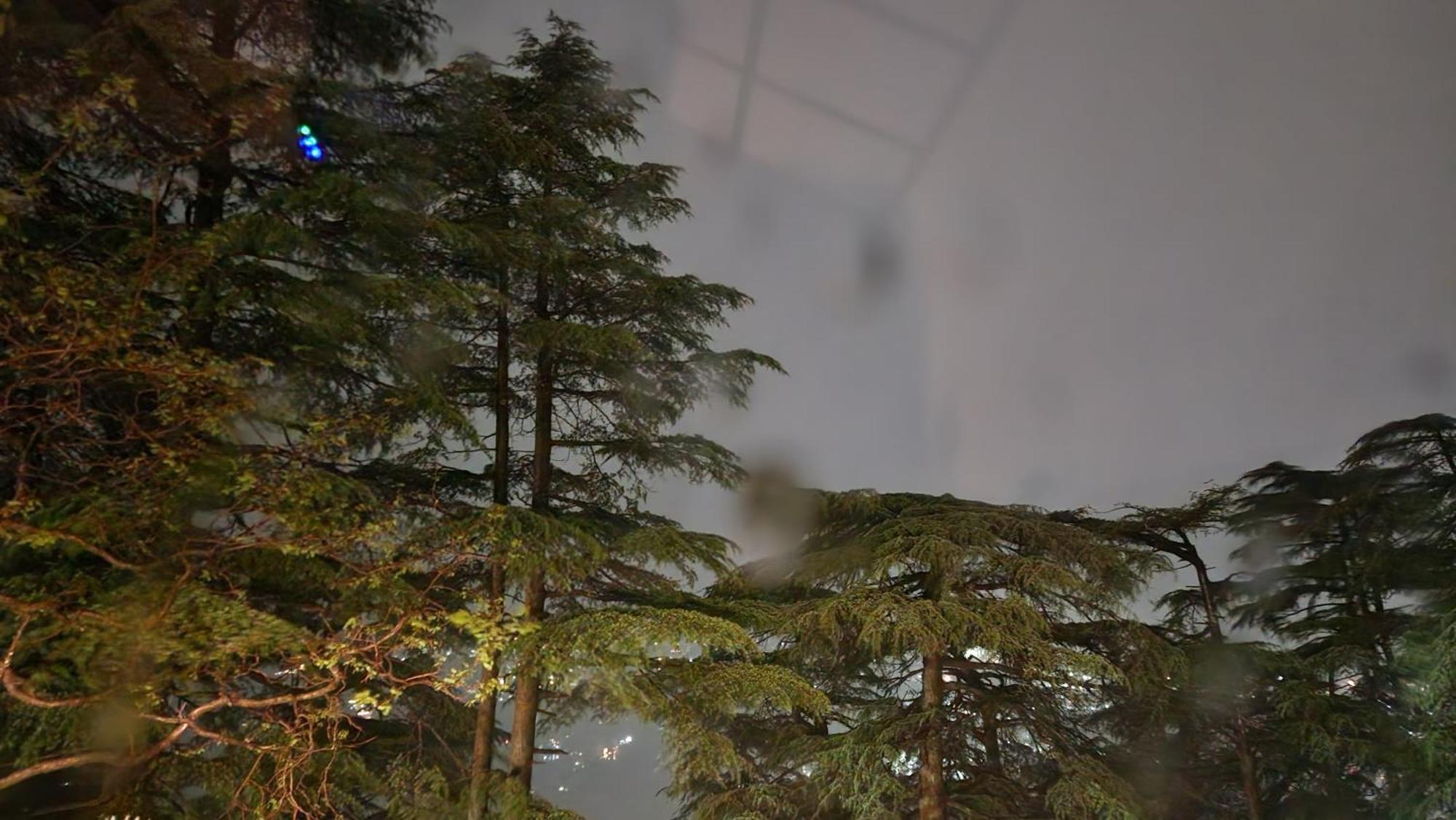 Glen View Heritage Homestay Σίμλα Εξωτερικό φωτογραφία