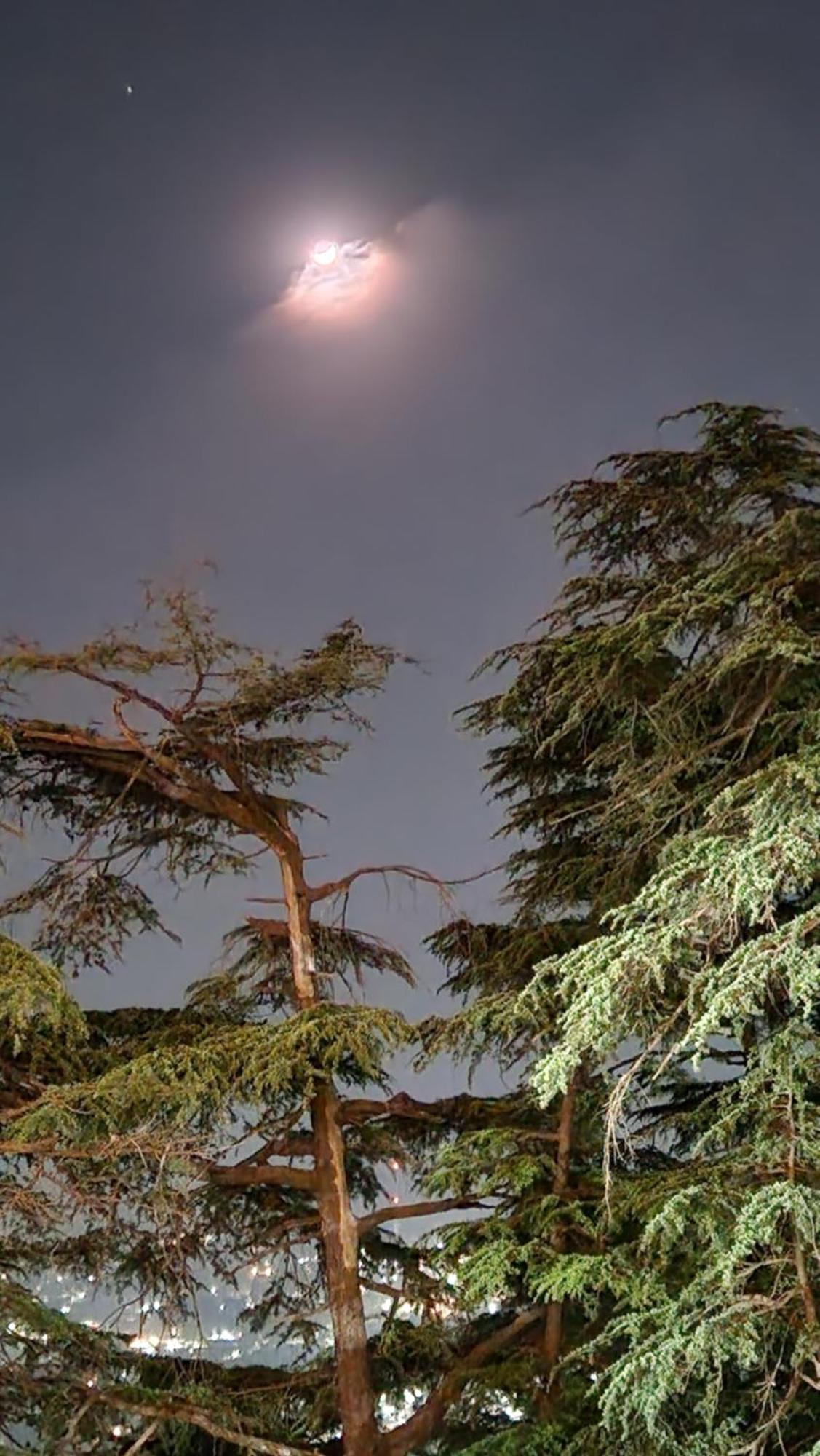 Glen View Heritage Homestay Σίμλα Εξωτερικό φωτογραφία